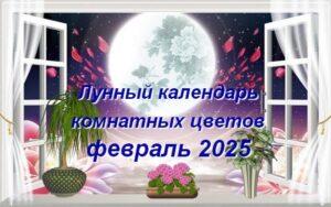 lunnyj-kalendar-cvetovoda-na-fevral-2025-goda