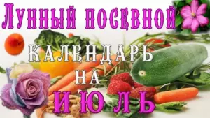 lunnyj-posevnoj-kalendar-na-iyul