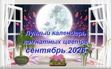 lunnyj-kalendar-komnatnyh-rastenij-na-sentyabr-2026-goda