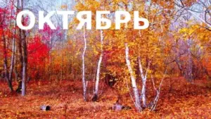 lunnyj-kalendar-i-goroskop-oktyabr-2026
