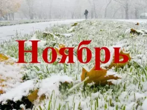 lunnyj-kalendar-i-goroskop-noyabr-2026